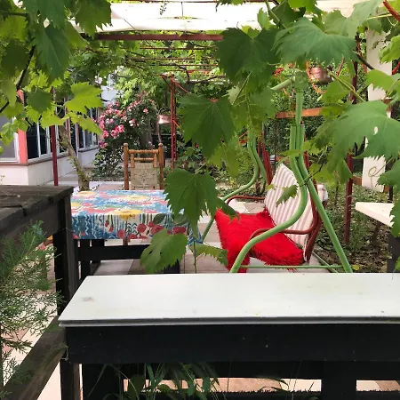 Surf House Rose I Po3a L 3*