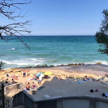 Surf House Rose I Po3a L