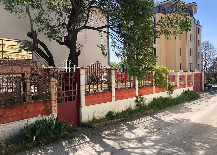 Surf House Rose I Po3a L 게스트하우스 골든샌드