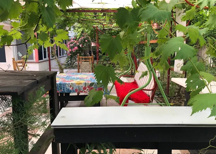 Surf House Rose I Po3a L 3*