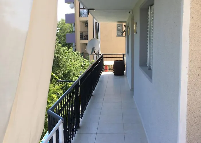 Surf House Rose I Po3a L 골든샌드