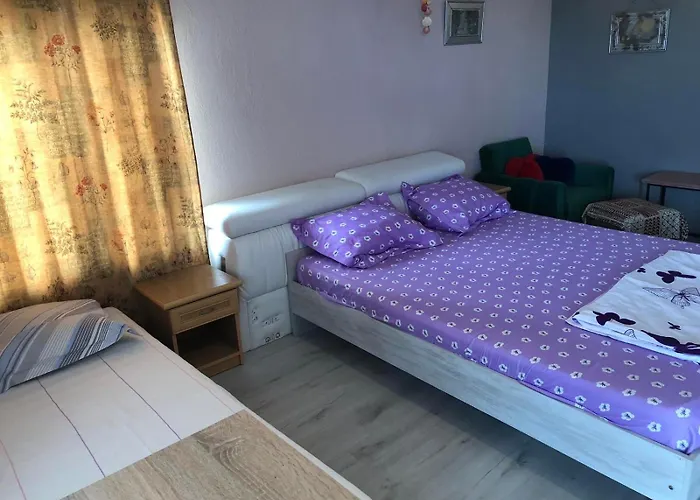 Surf House Rose I Po3a L 게스트하우스 3*